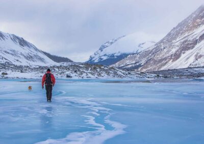 Columbia Icefield - Explore Jasper