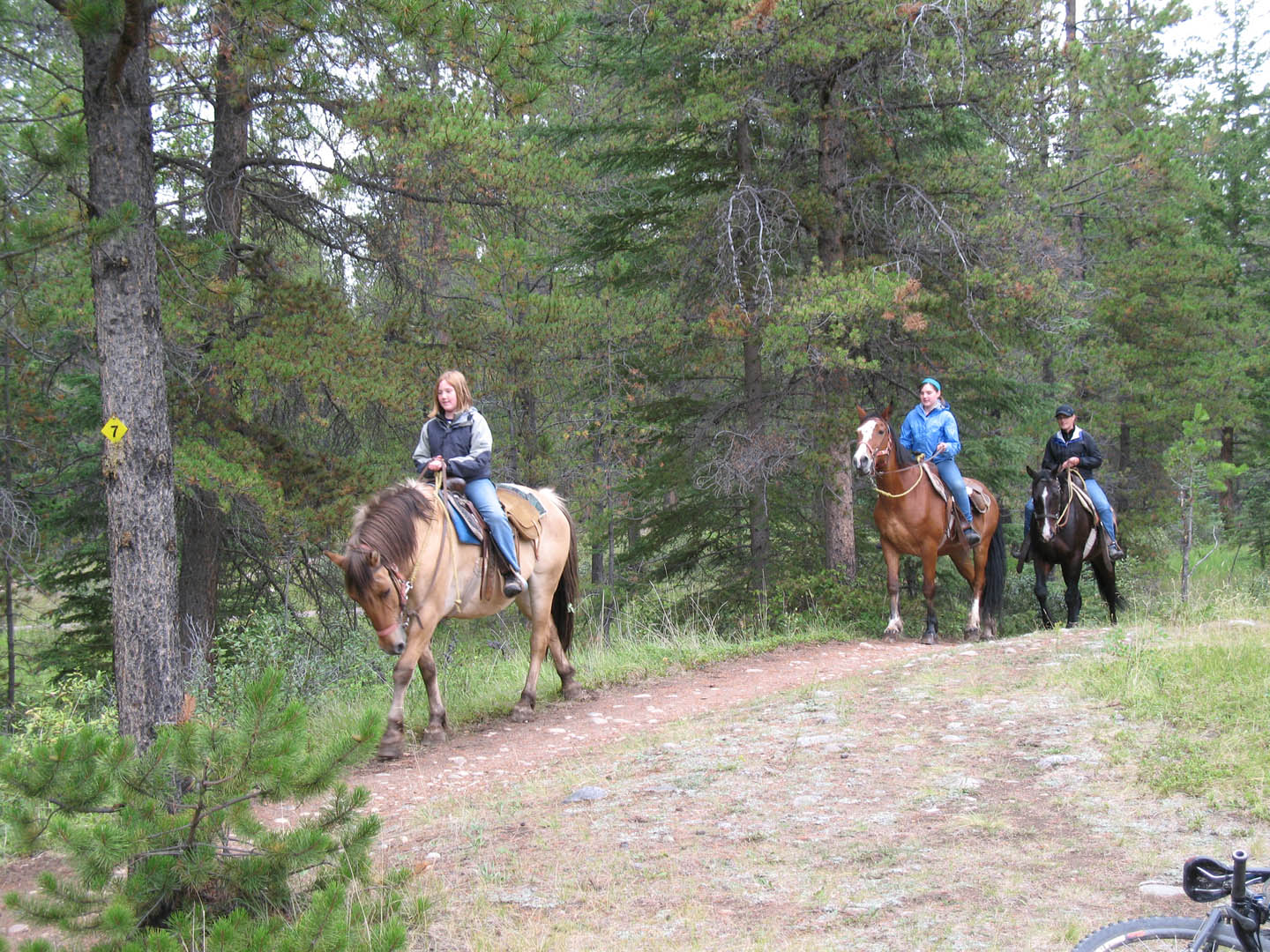Horseback Keith Lake - Explore Jasper