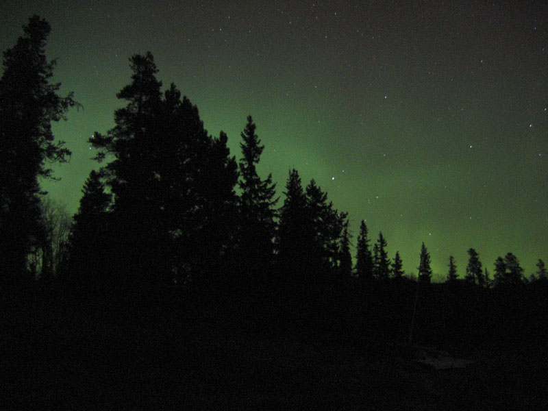 Northern Lights Explore Jasper National Park Alberta Canada