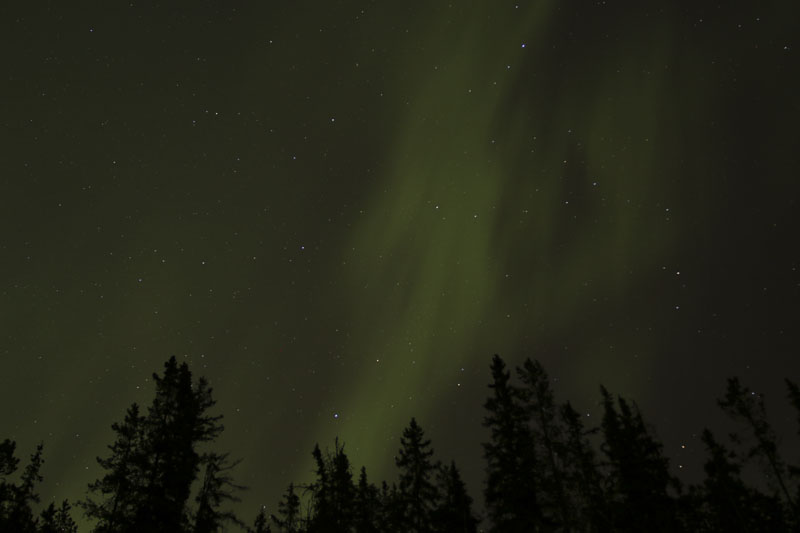Northern Lights Explore Jasper National Park Alberta Canada