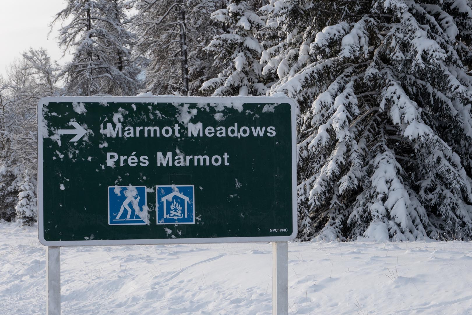 Marmot Meadows Sign - Explore Jasper