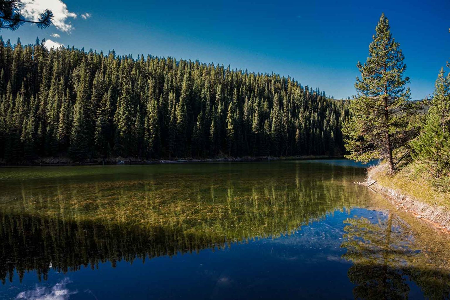 Moose Lake Loop Explore Jasper National Park Alberta Canada
