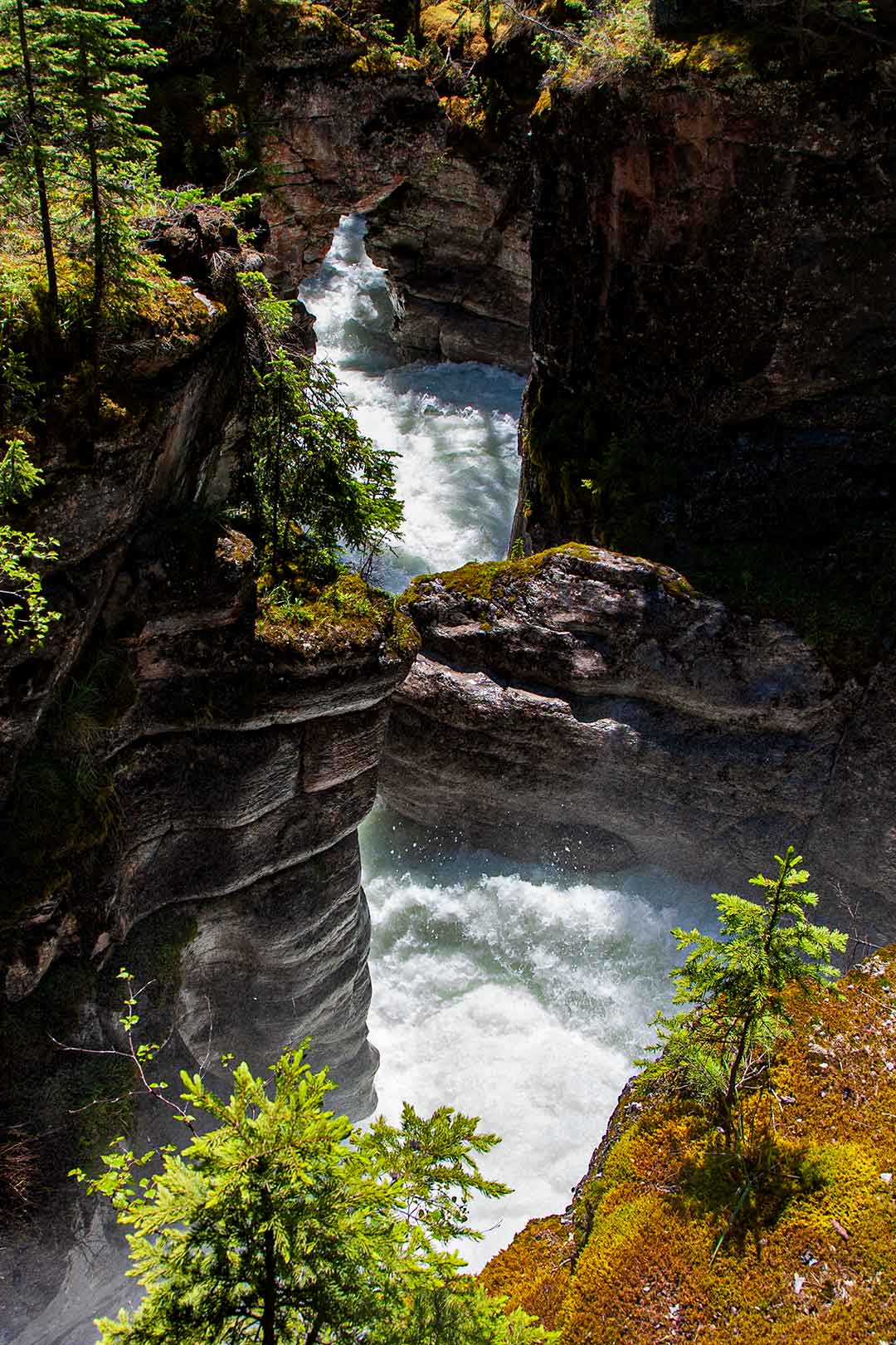 Maligne Canyon Summer Explore Jasper National Park Alberta Canada
