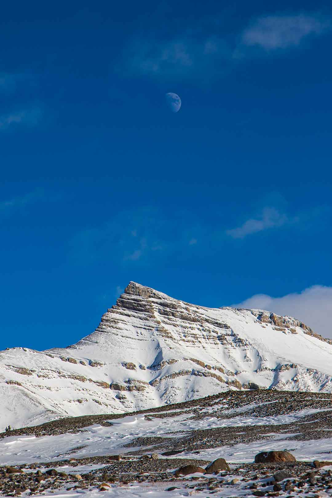 Columbia Icefield | Explore Jasper National Park Alberta Canada