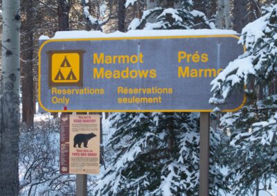 xcski Marmot Meadows - Explore Jasper
