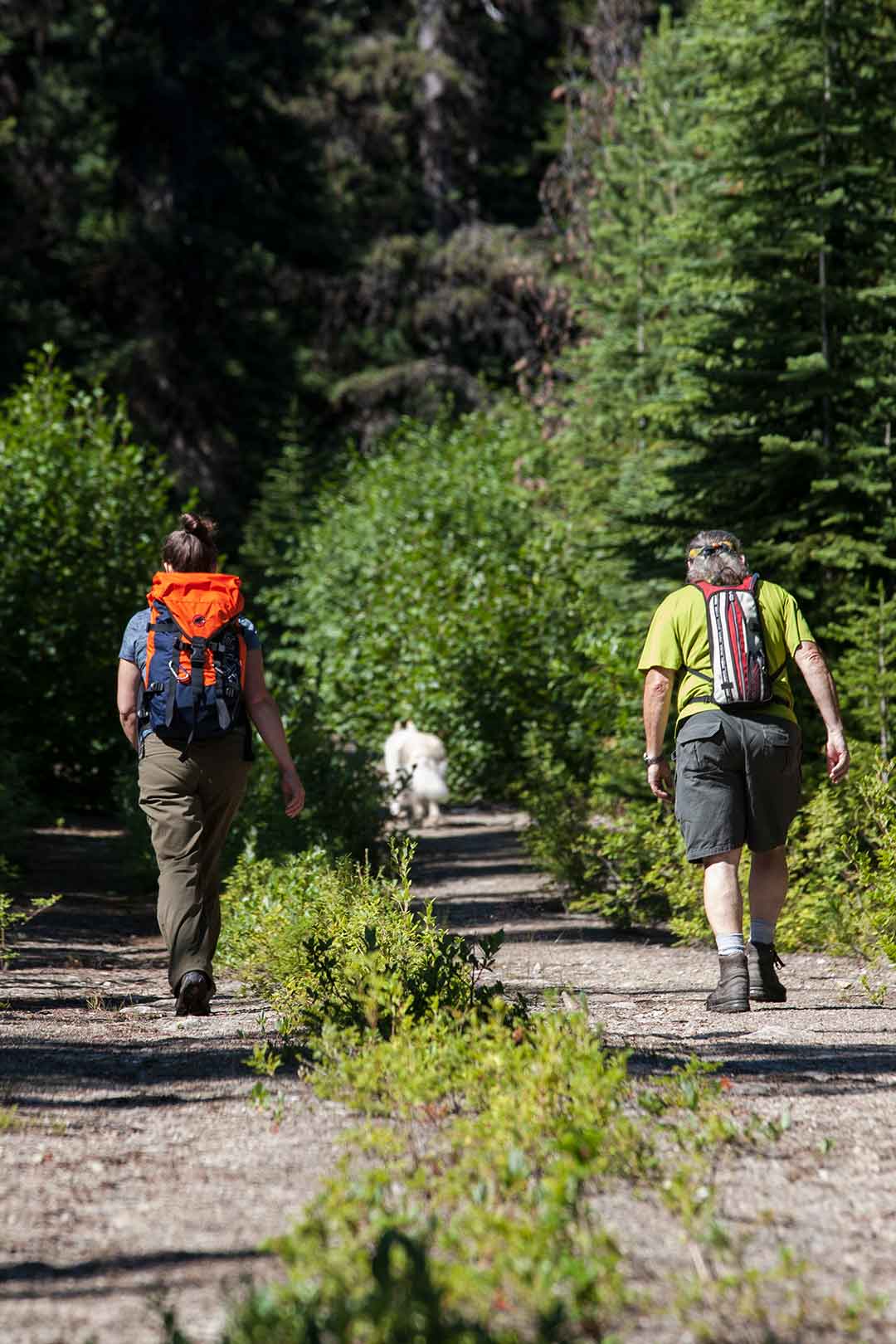 Geraldine Fire Lookout All about Jasper National Park