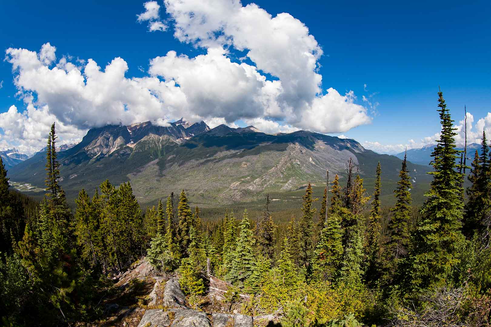 Geraldine Fire Lookout All about Jasper National Park