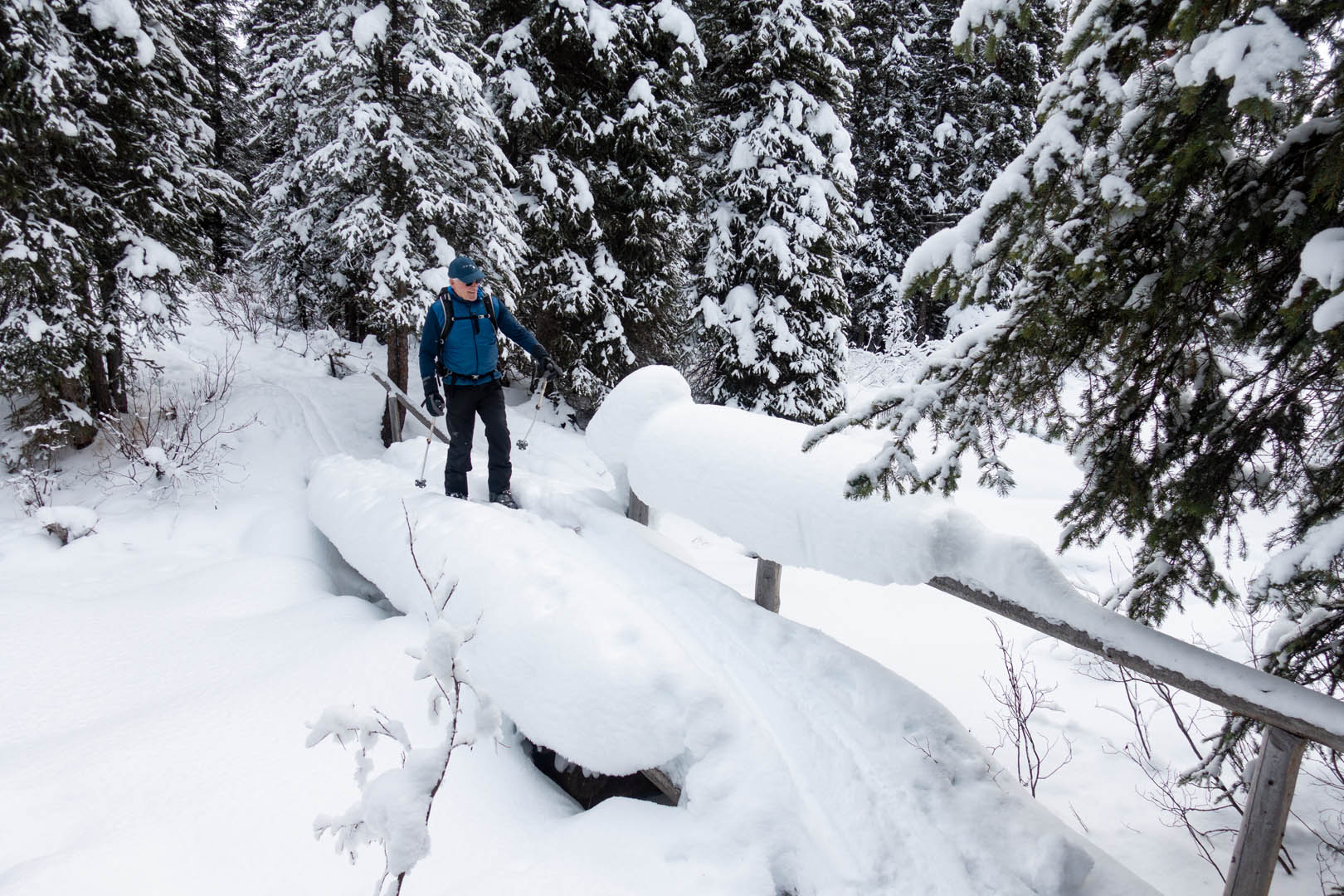 CrossCountry Ski Trappers Creek All about Jasper National Park