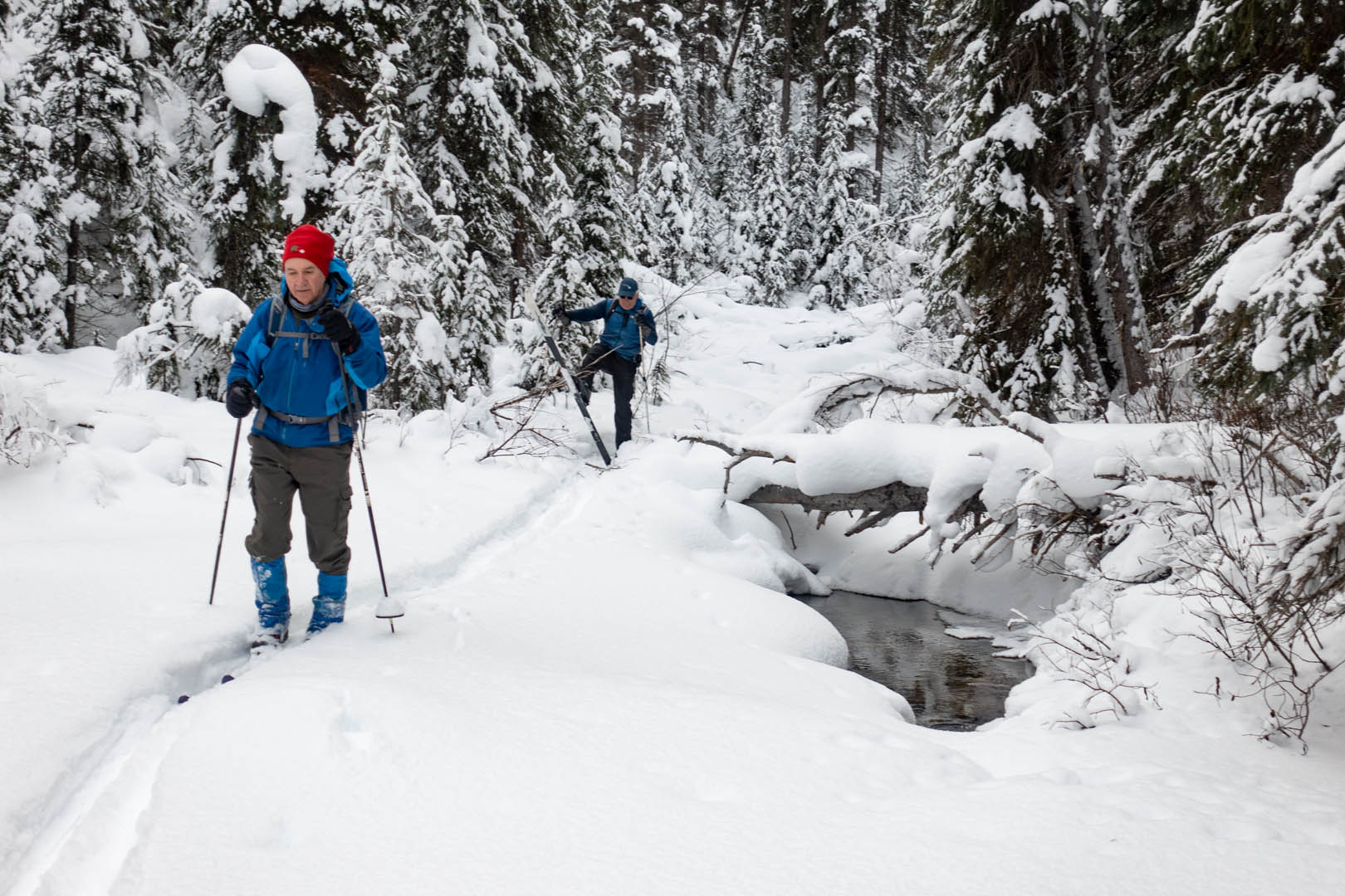 CrossCountry Ski Trappers Creek All about Jasper National Park