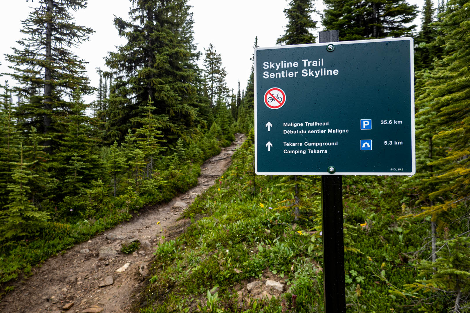 Skyline Trail - Explore Jasper