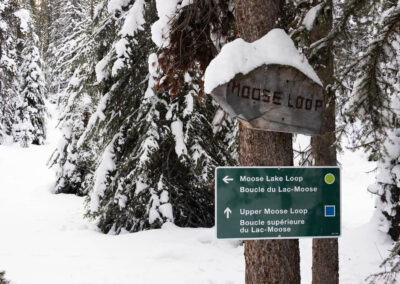 Moose Lake XCski - Explore Jasper