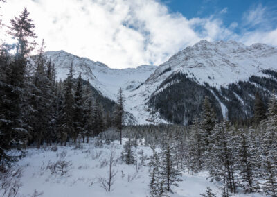 Cross country ski - Summit Lake- Explore Jasper