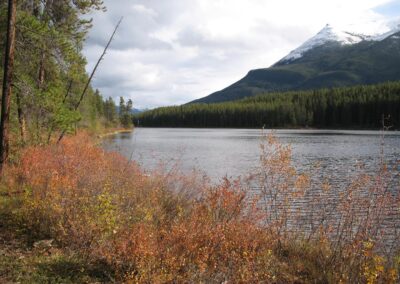 Minnow Lake Trail 3 - Explore Jasper