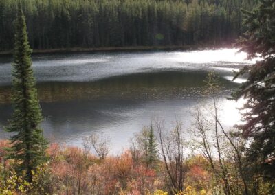 Minnow Lake Trail 3 - Explore Jasper