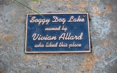 Soggy Dog Lake