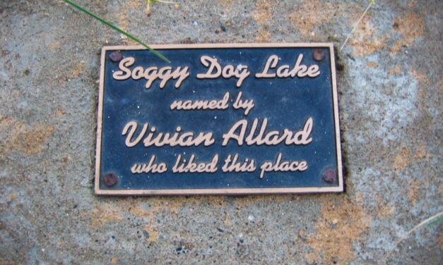 Soggy Dog Lake