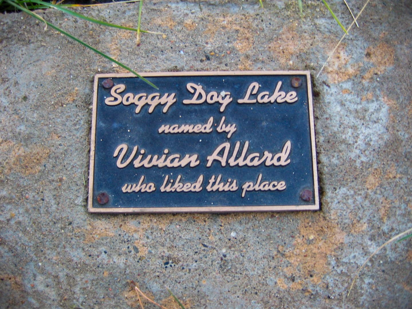 Soggy Dog Lake - Explore Jasper