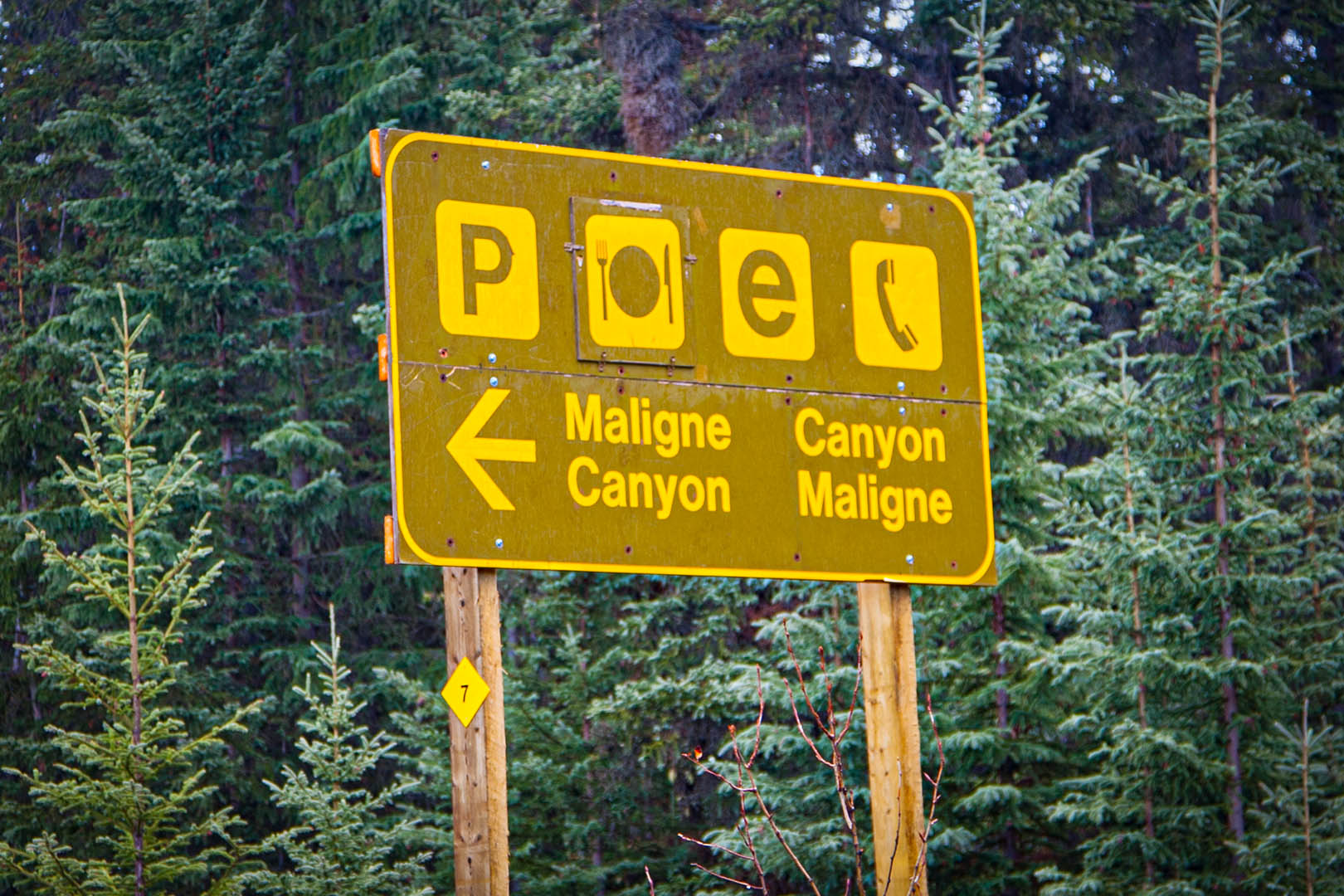 Maligne Canyon Sign - Explore Jasper