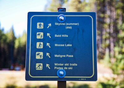 Hiking Moose Lake Loop - Explore Jasper