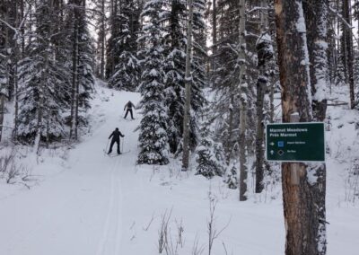 Marmot Meadows Signs - Explore Jasper