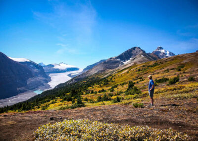 Hiking Parkers Ridge - Explore Jasper